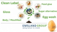 Emsland Group latest waxy potato development: Emwaxy® Spray 200