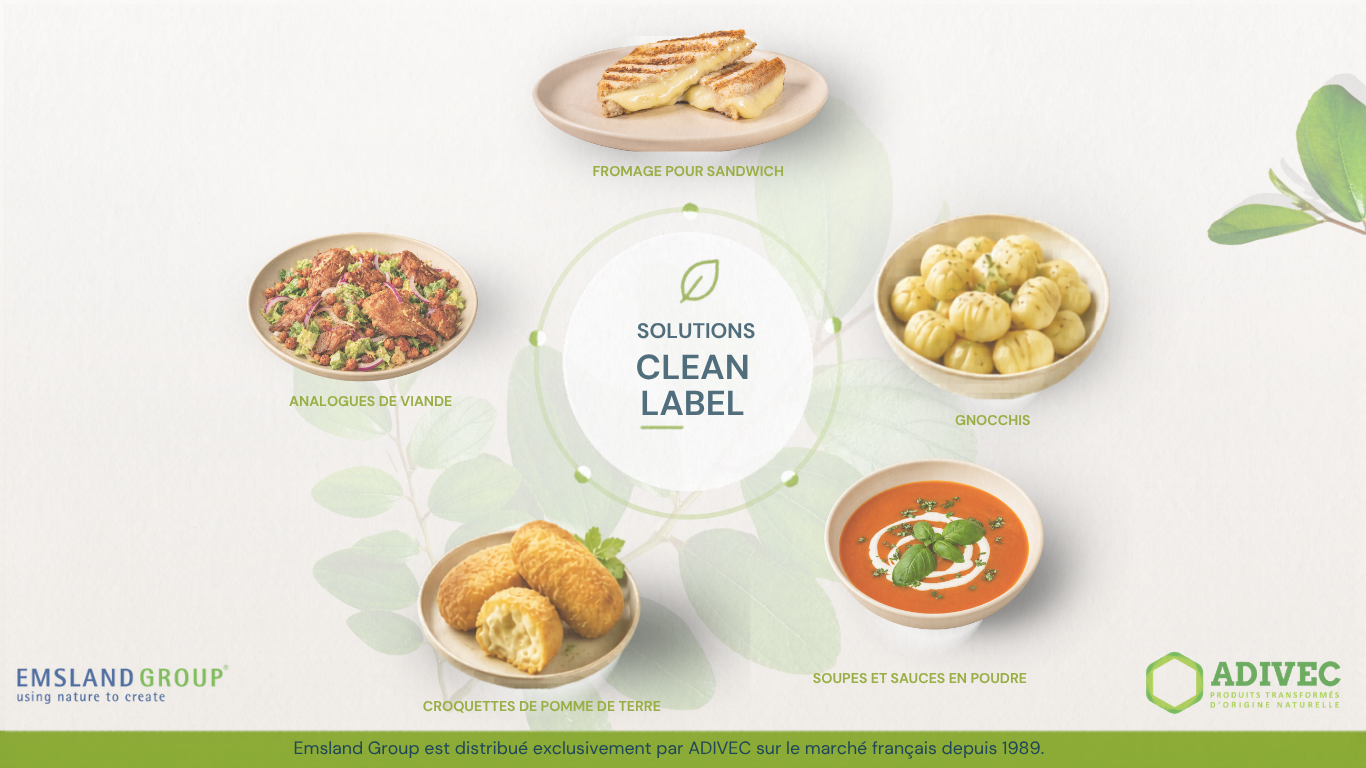 Des solutions Clean Label pensées pour les applications réelles  Texture, stabilité et simplicité d’étiquetage