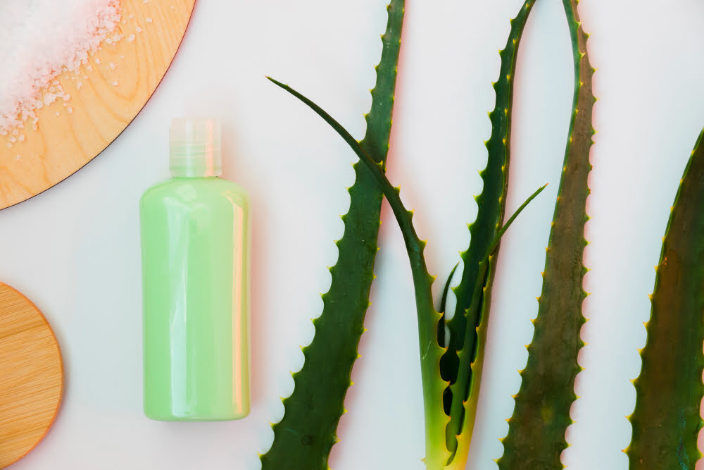 image-fiche-produit Aloe Vera